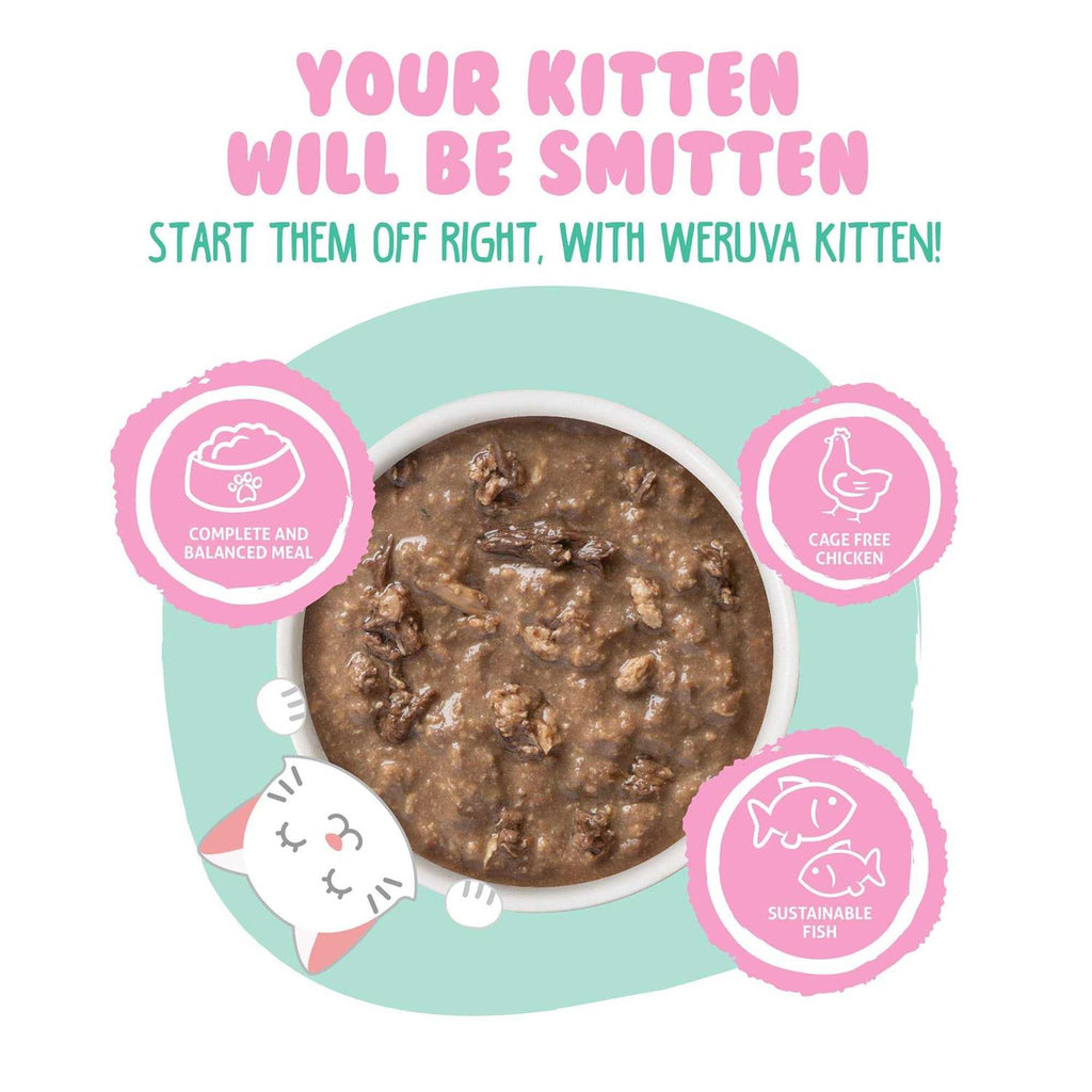 Chicken & Tuna Formula in Gravy Wet Cat Food V3908