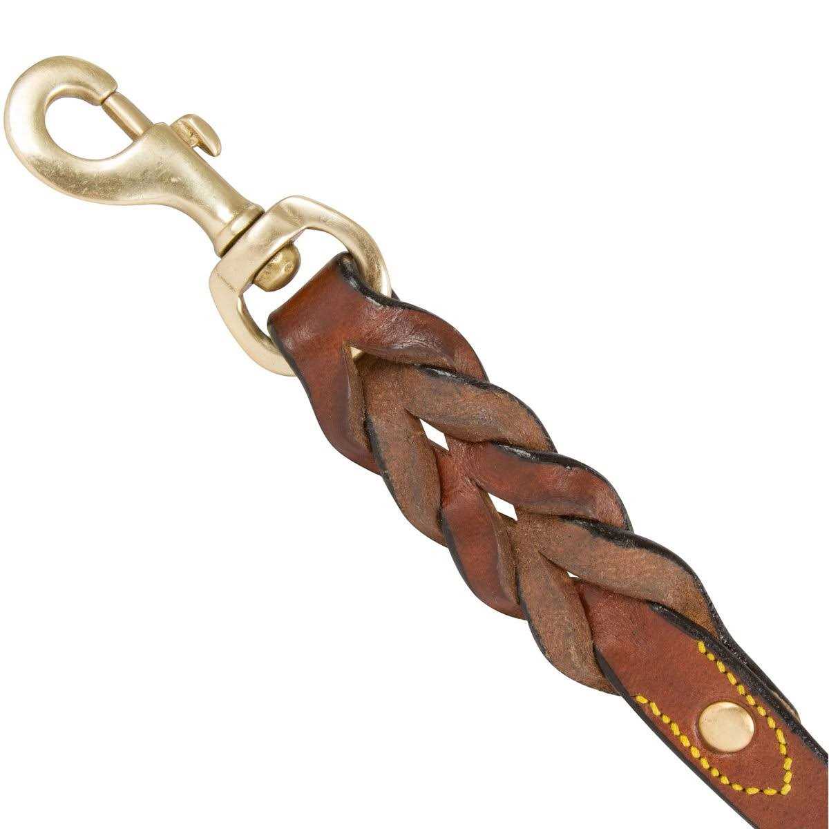 Leather Braided Dog Leash O123