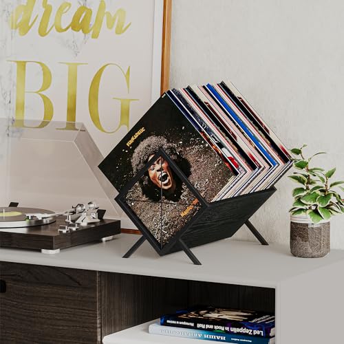 Black 1 Tier Vinyl Record Storage Rack P829