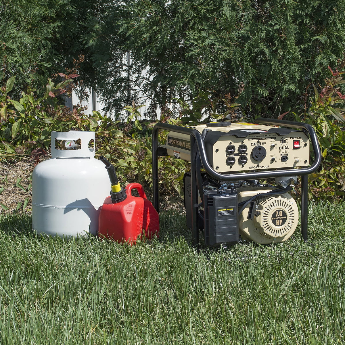 4000 Watt Dual Fuel Generator V8786