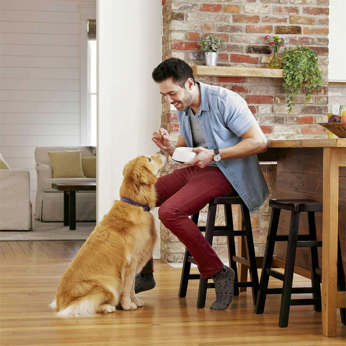 Healthy Digestion Dry Dog Food with Real Chicken V791484