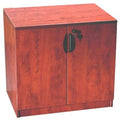 Brown 2 Door Storage Cabinet Z793