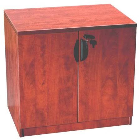 Brown 2 Door Storage Cabinet Z793