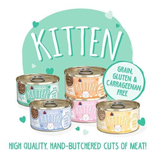 Chicken & Tuna Formula in Gravy Wet Cat Food V3908