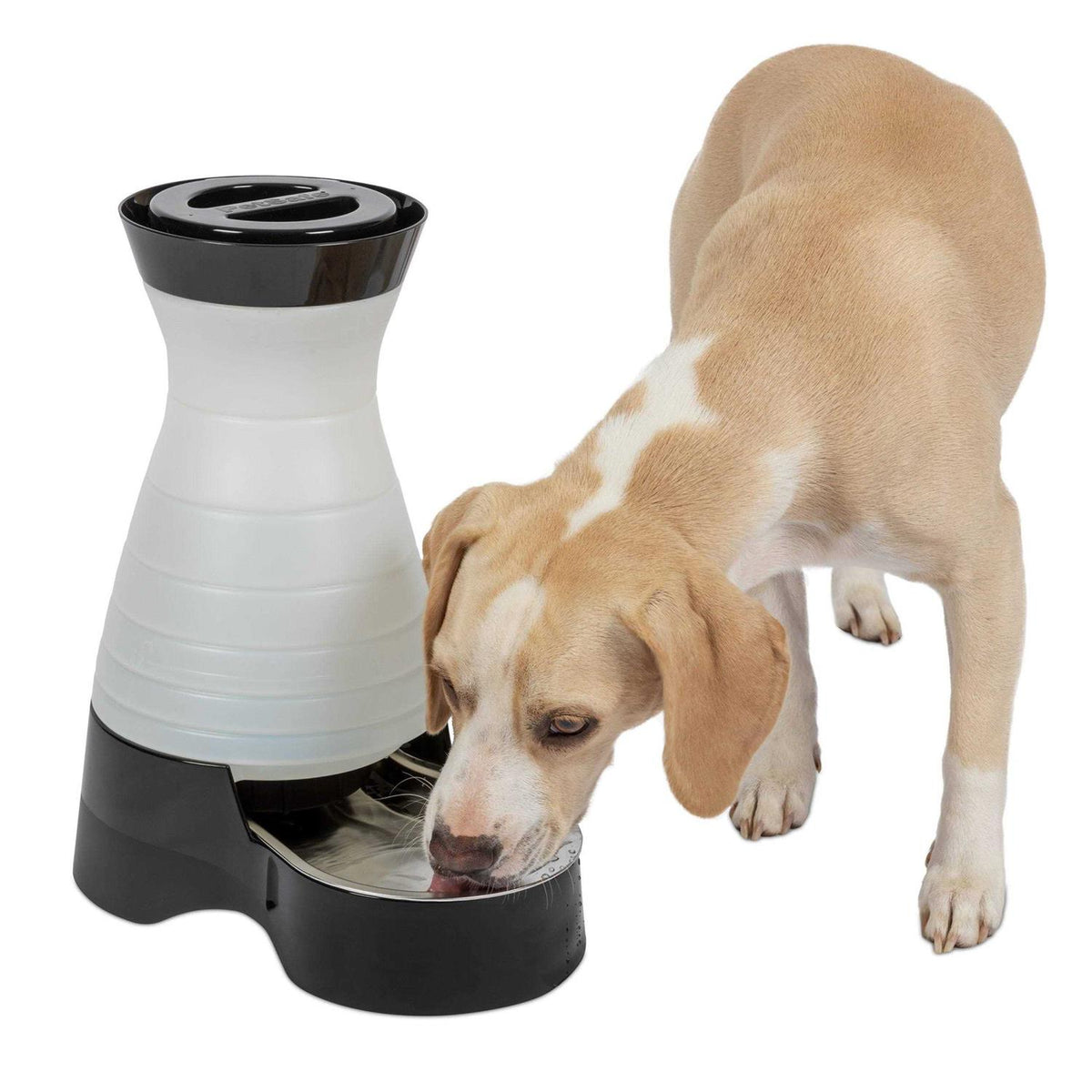 Healthy Pet Water Station C3796