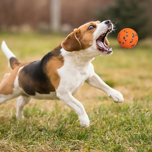 Interactive Tennis Fetch Ball Toy for Dogs V456065