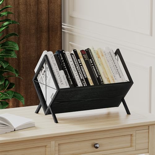 Black 1 Tier Vinyl Record Storage Rack P829