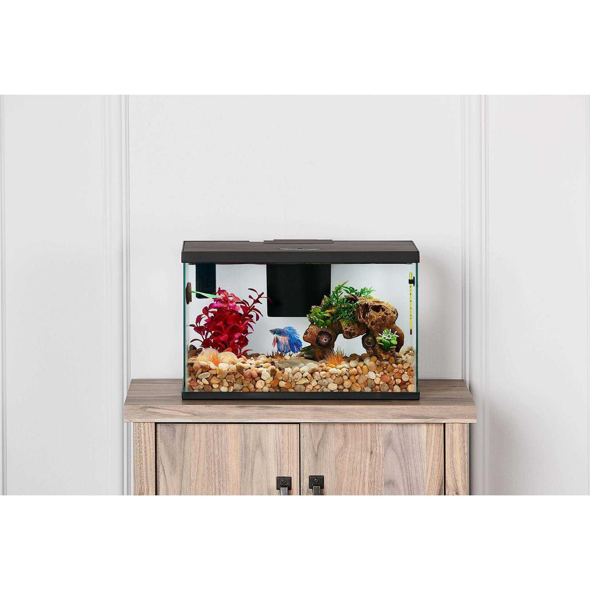 Betta Tank Starter Kit C26307
