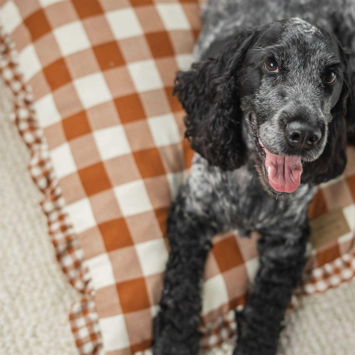 Brown Gingham Print Envelope Dog Bed B122642