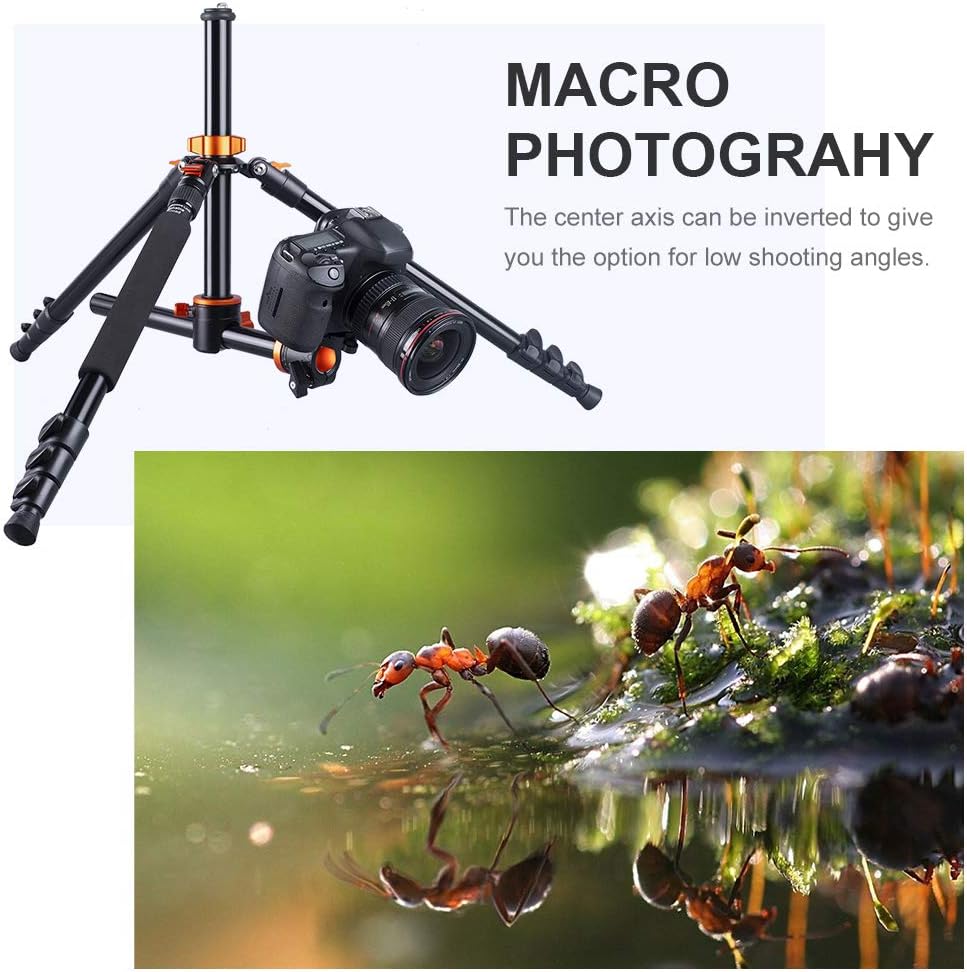 72 inch Aluminium Camera Tripod with 360 Degree Ball Head T400