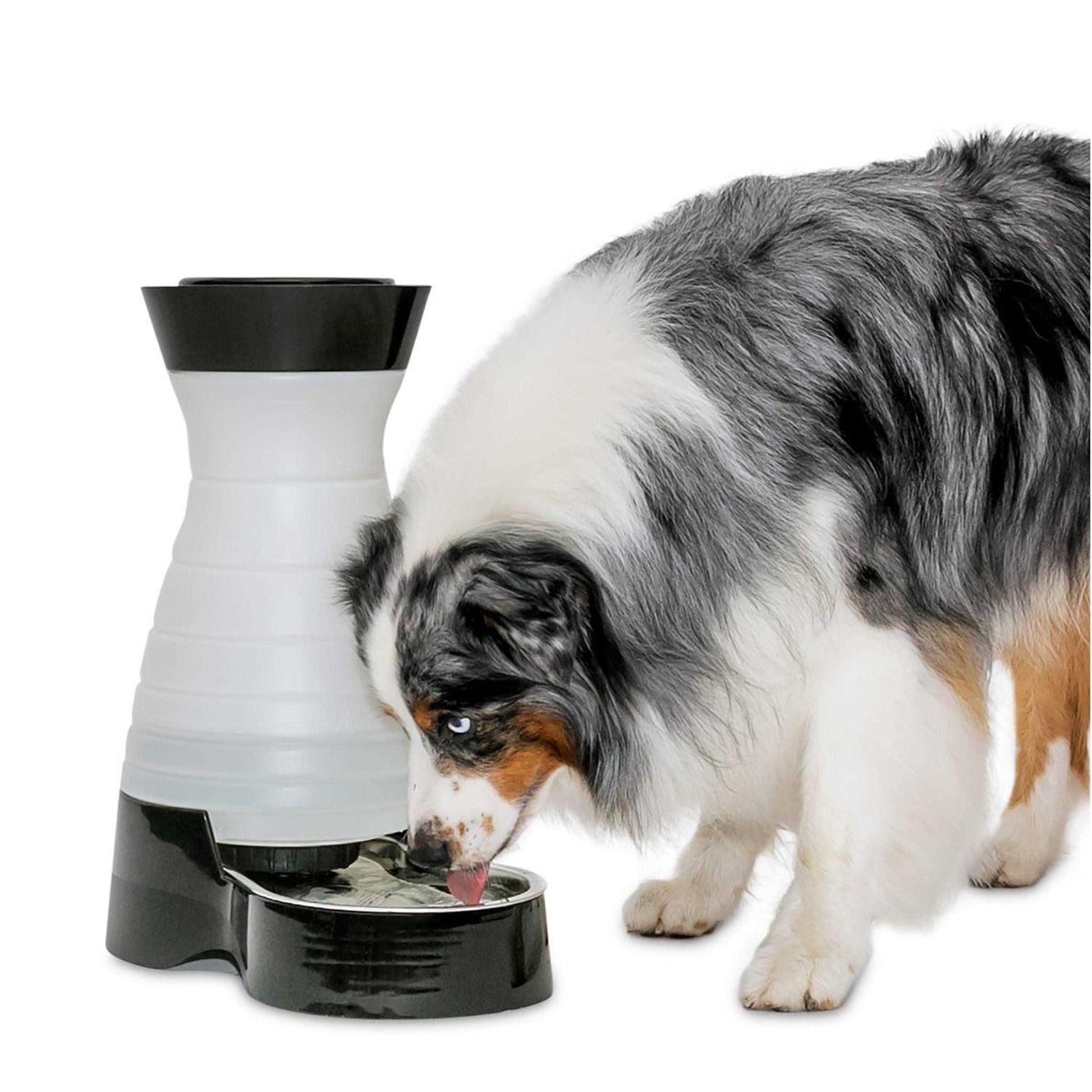 Healthy Pet Water Station C3796