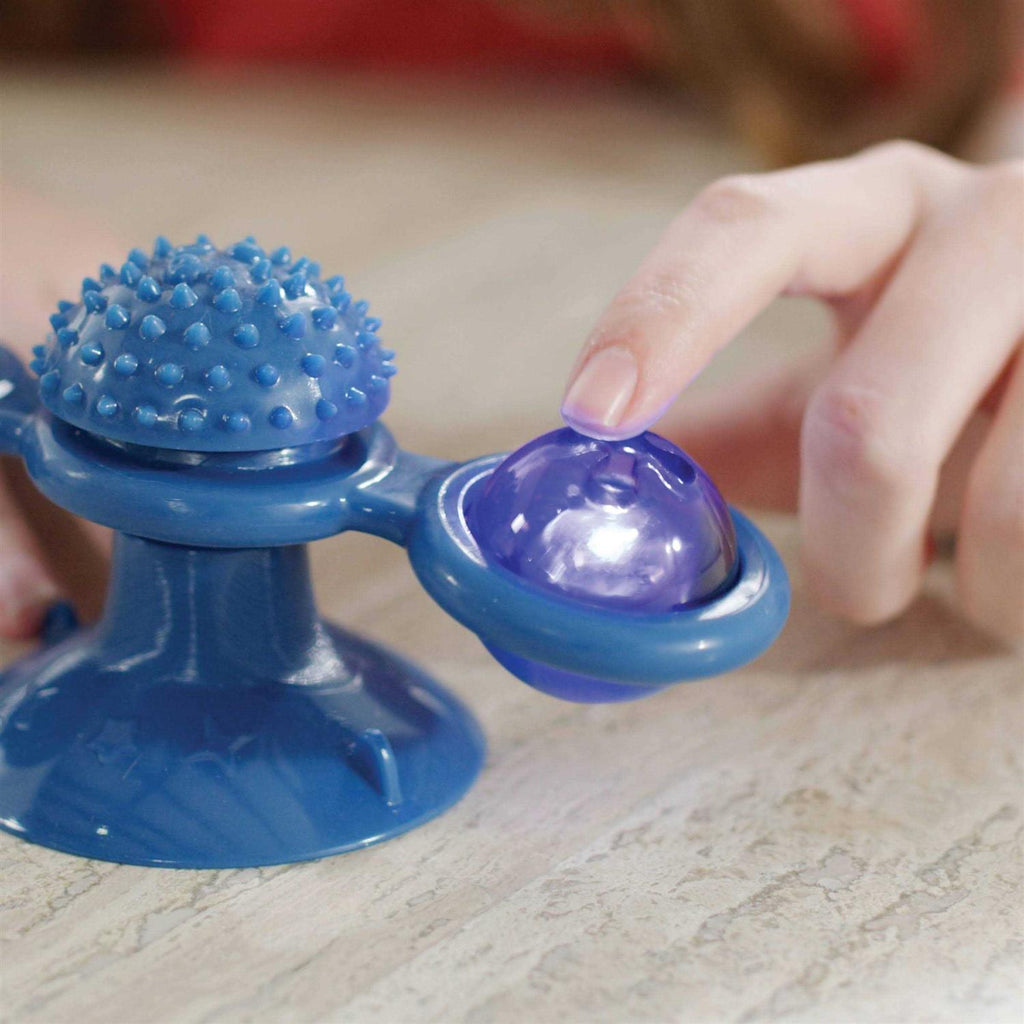 Spinner Toy & Grooming Brush T4547
