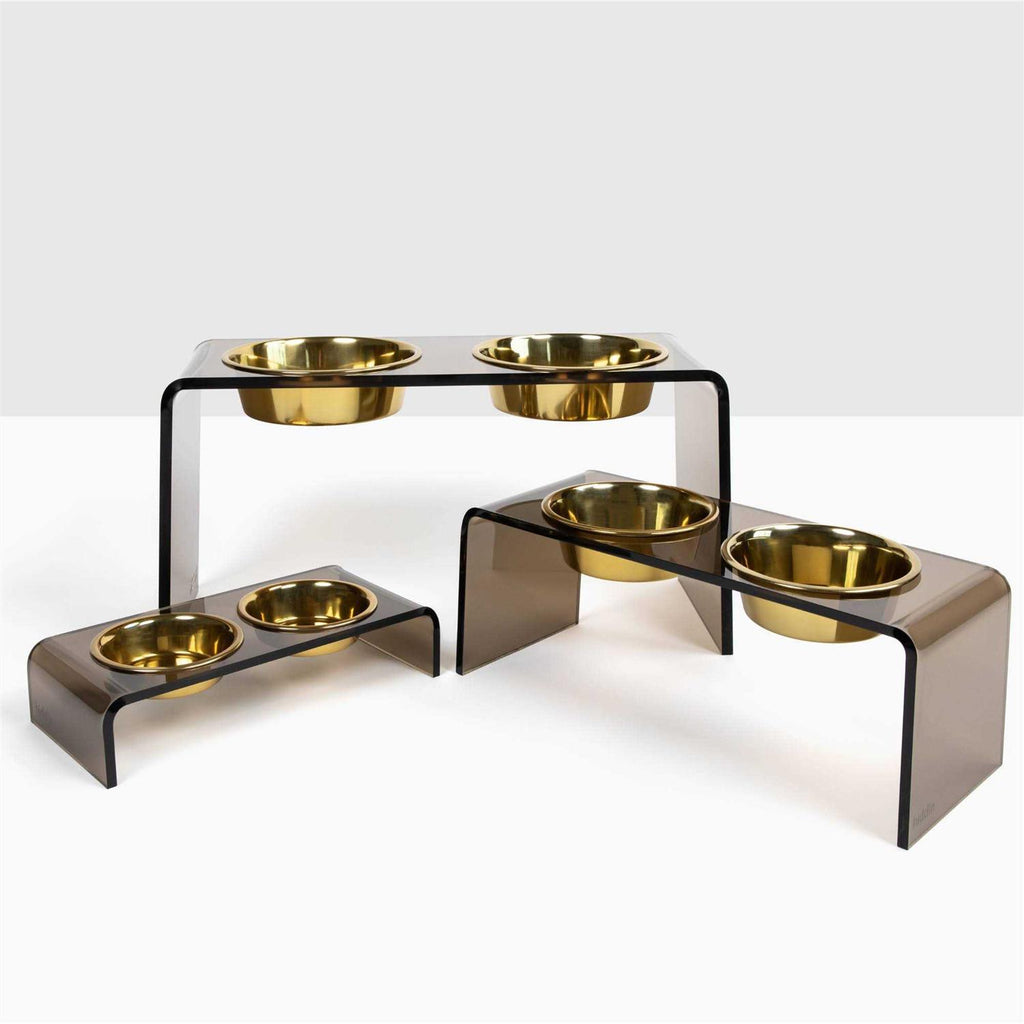 Acrylic Double Bowl Elevated Pet Feeder Y63492