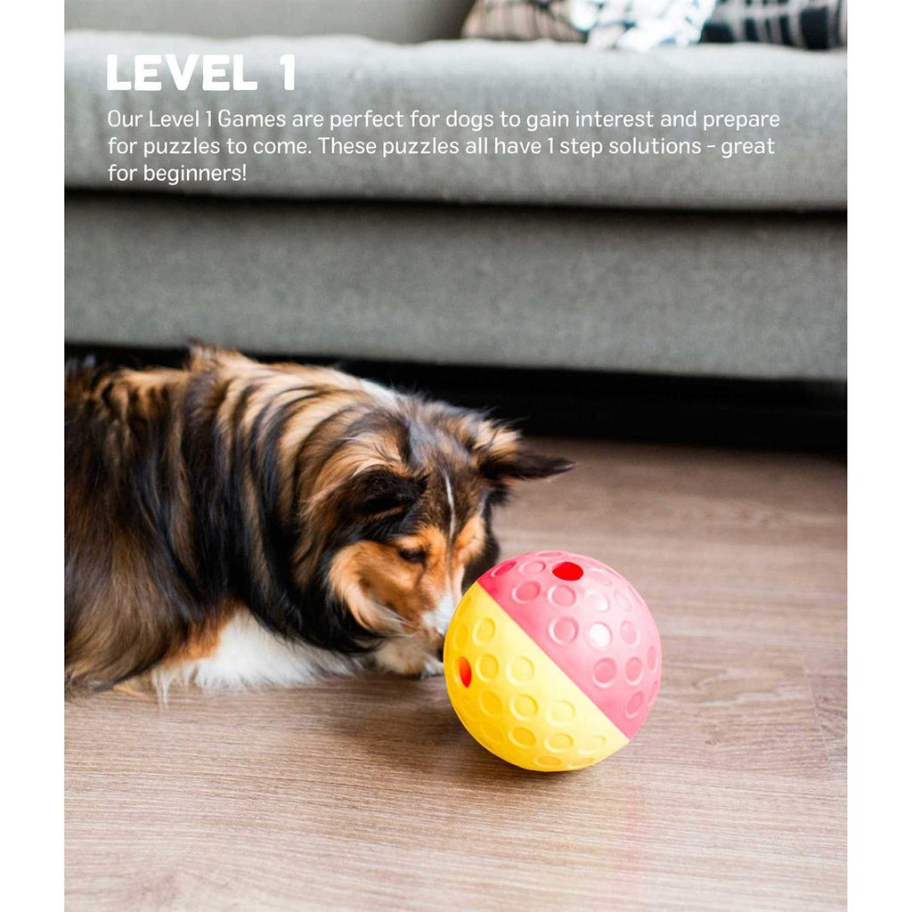 Treat Tumble Dog Toy B522801