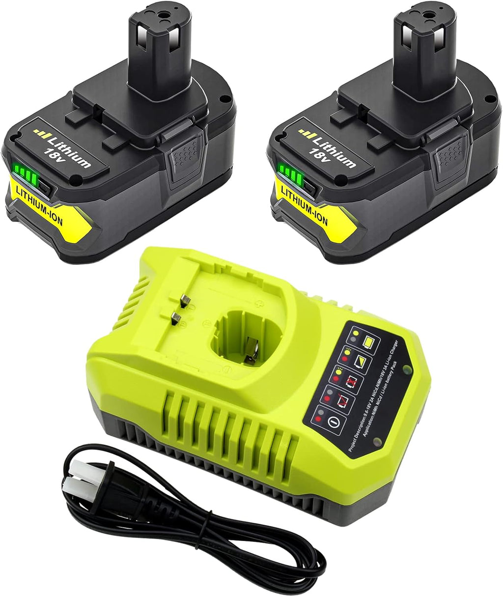 2Pack 6.0Ah Replacement 18V Battery and Charger Combo Z4473