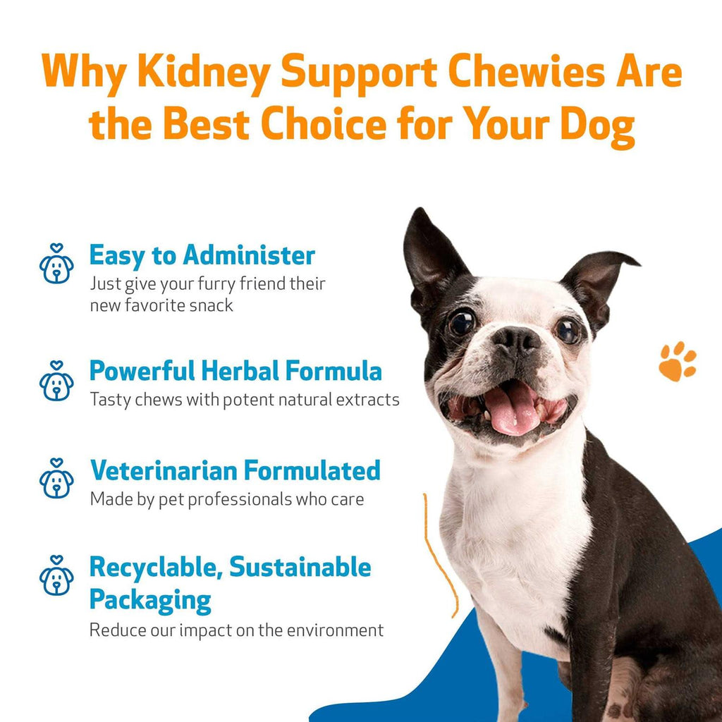 Kidney Support Chewies for Dogs Q322677