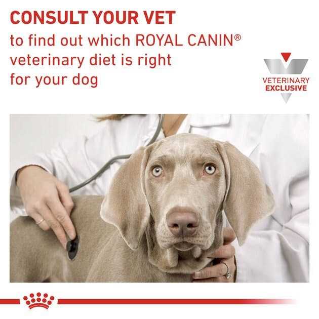 Urinary Canine Treats Z2229