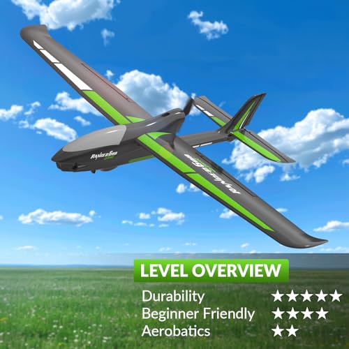 RC Plane, 4-Channel, Durable Foam Construction, 23.6*18.1 inches I5866