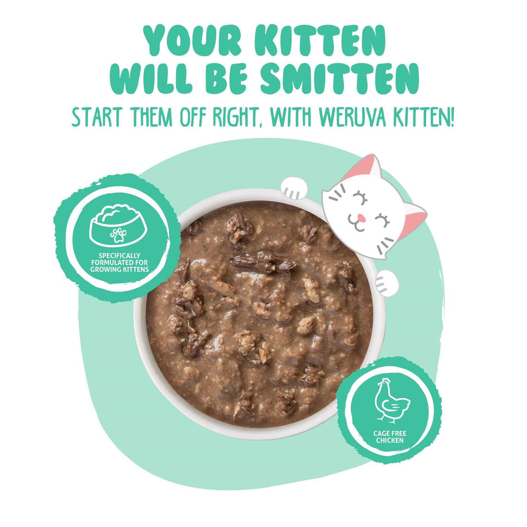 Chicken & Tuna Formula in Gravy Wet Cat Food V3908