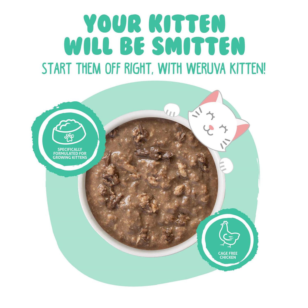 Chicken & Tuna Formula in Gravy Wet Cat Food V3908