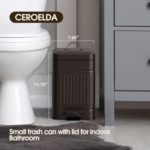 Small 5L Stainless Steel Trash Can with Lid and Step Pedal R829