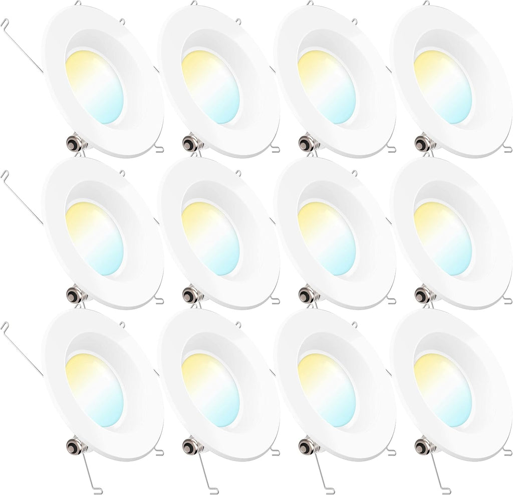 12 Pack 5/6 Inch LED Recessed Lighting Retrofit Conversion Kit E850