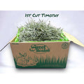 1st Cut Timothy Hay Small Pet Food F261119