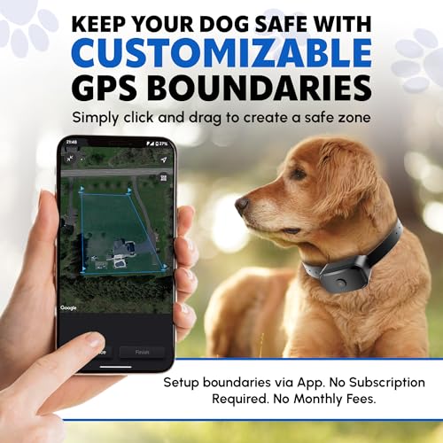 GPS Dog Fence with Remote Training Waterproof Collar System O546