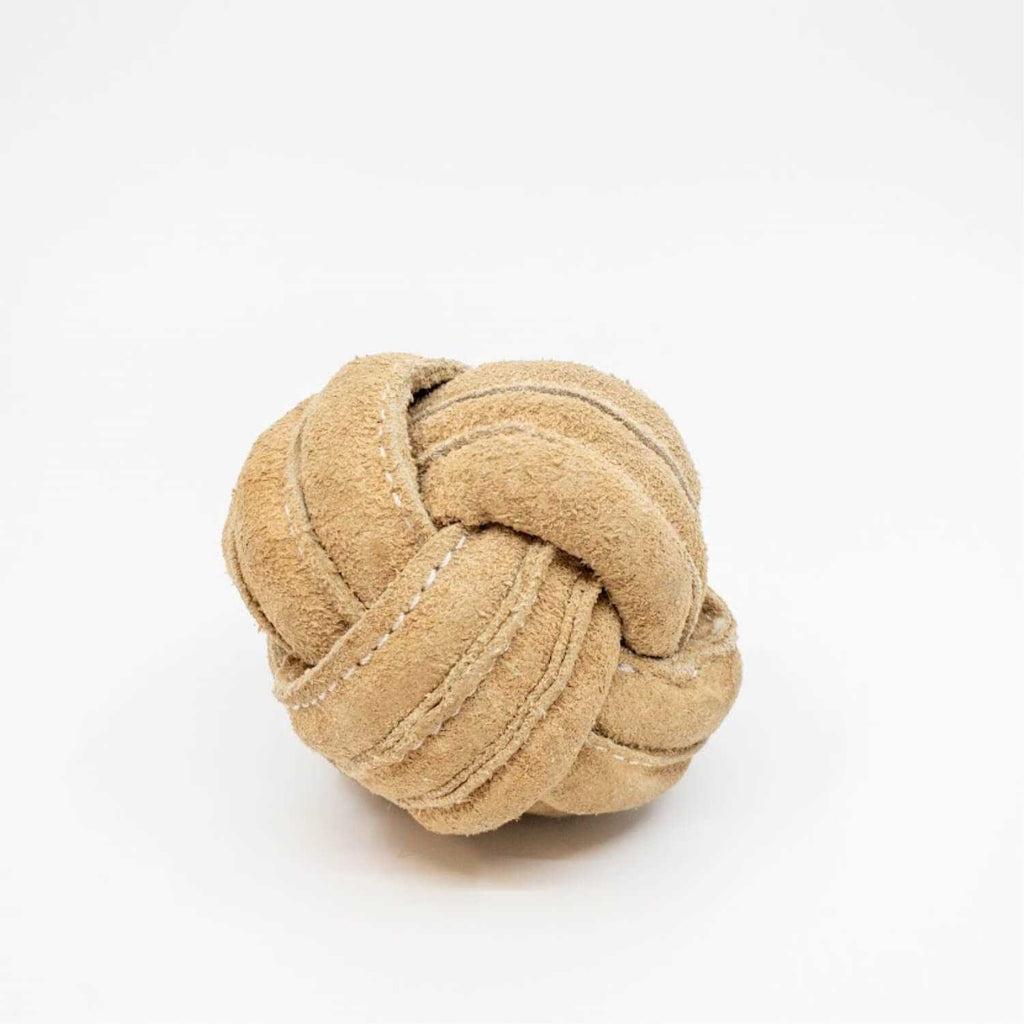 Dog Toy P209892