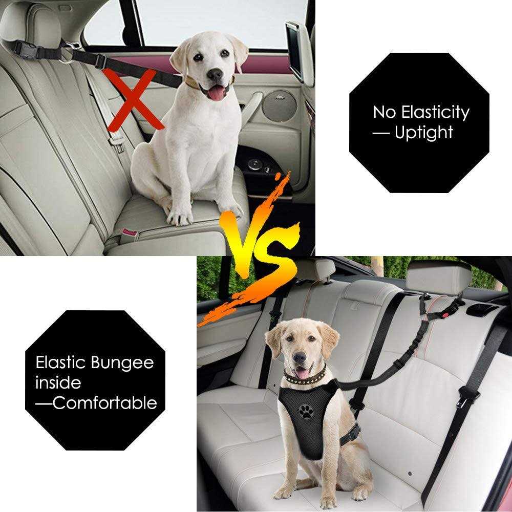 2 Pack Reflective Adjustable Dog Seat Belt D551