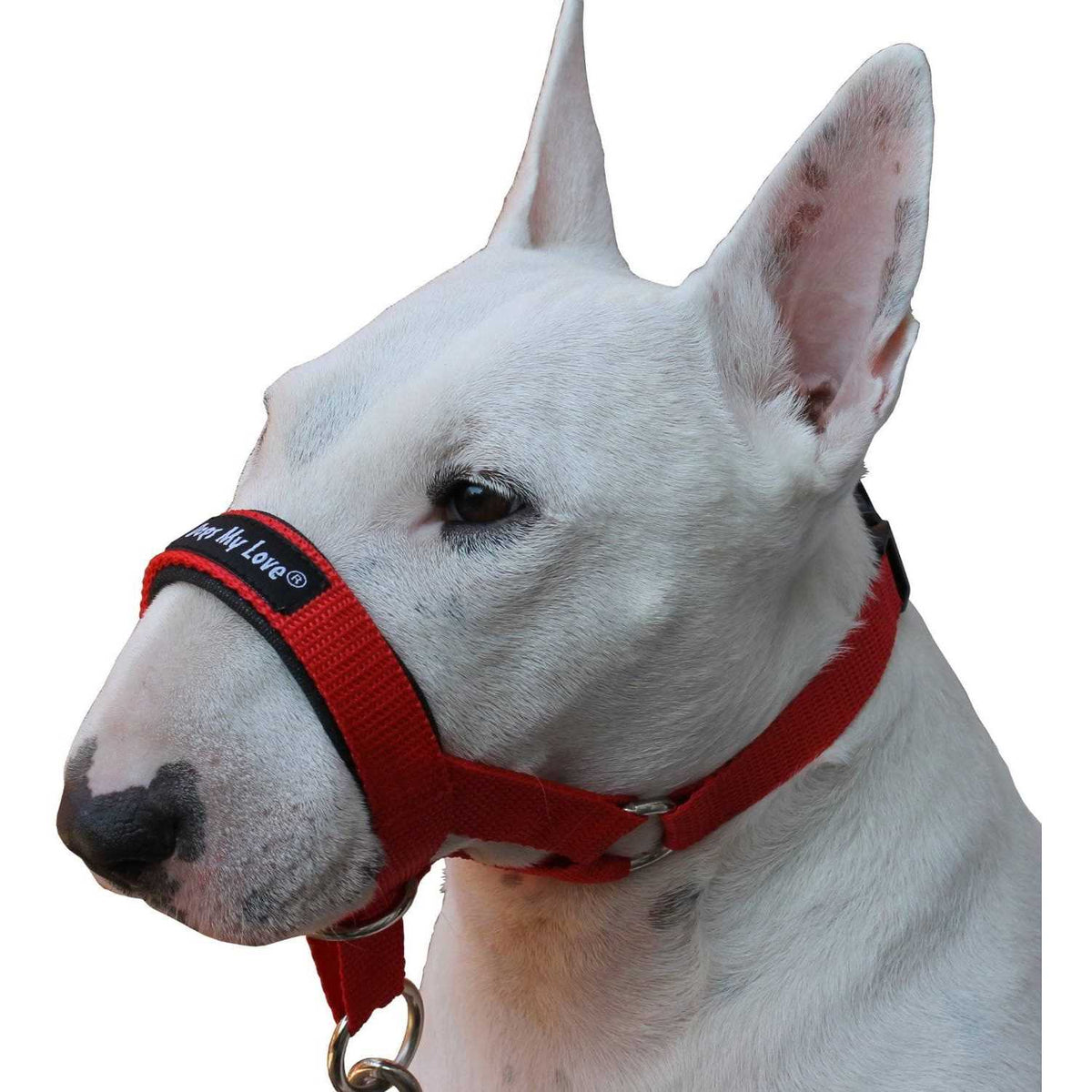 Dog Head Collar Halter G412