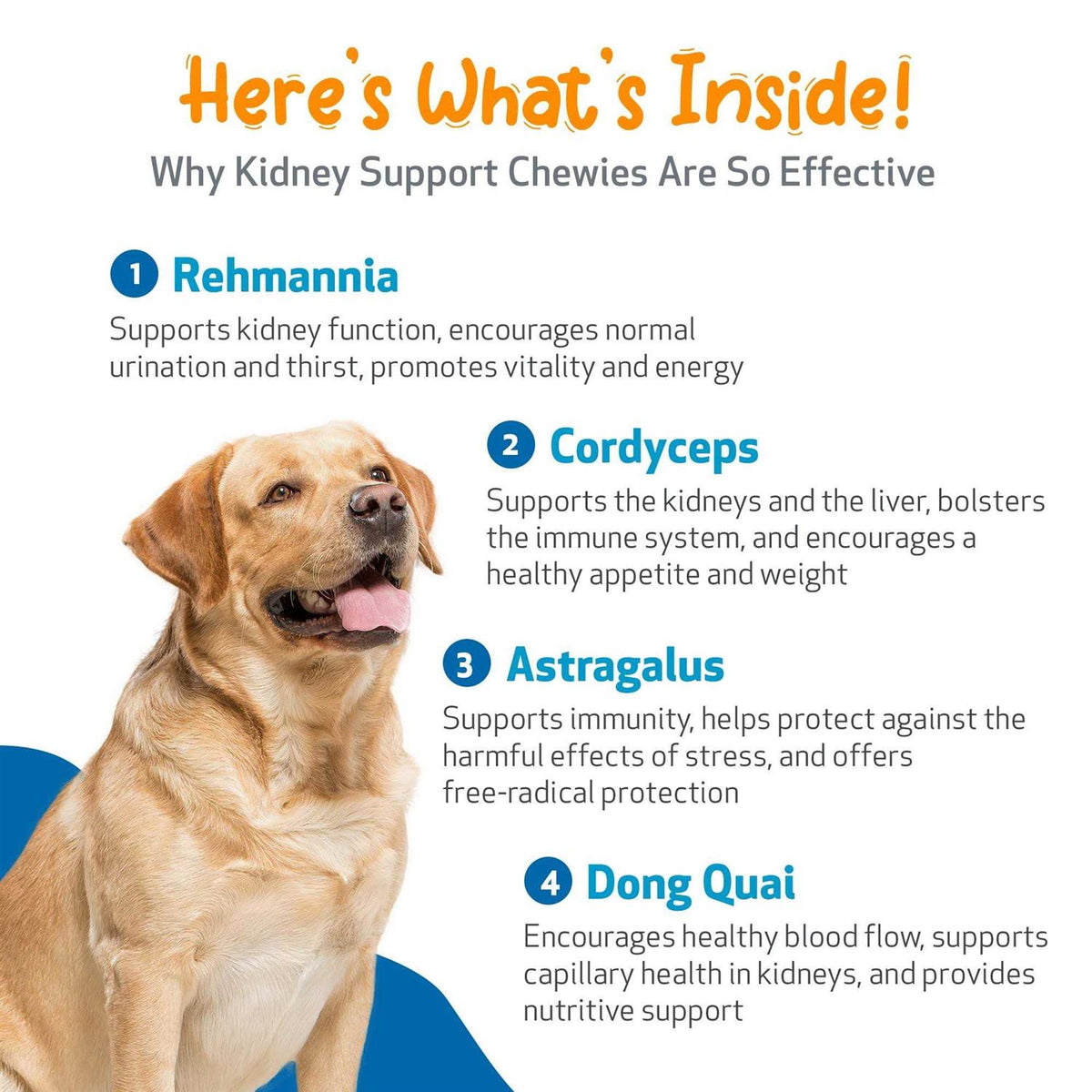 Kidney Support Chewies for Dogs Q322677