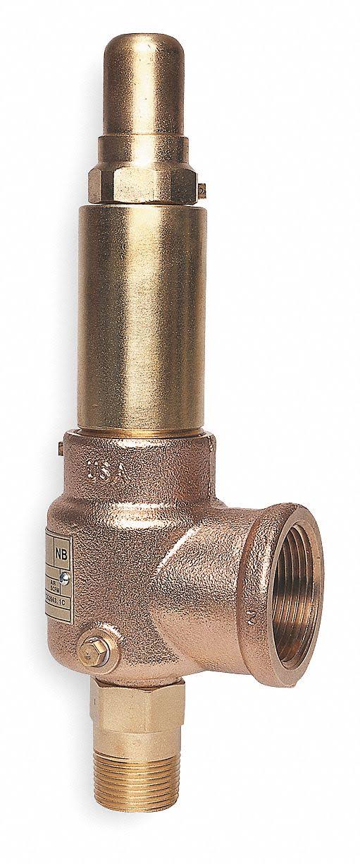 Pop Safety Valve, 1-1/4 x 2 In, 125 PSI I573