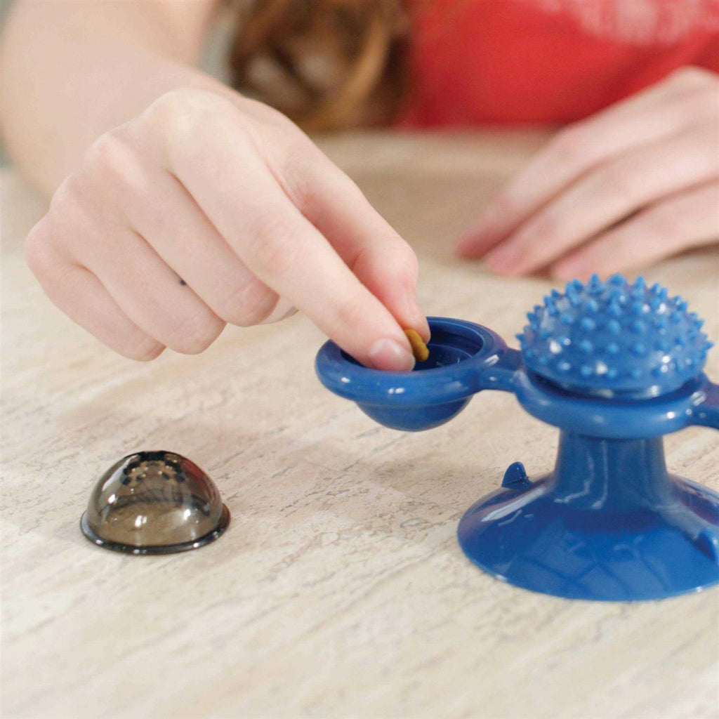 Spinner Toy & Grooming Brush T4547