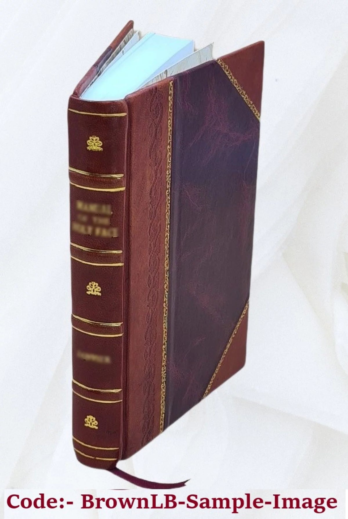 Hamburger Garten-und Blumenzeitung Zeitschrift Garten-und Blumenfreunde Volume v.30 1874 Leather Bound C72817