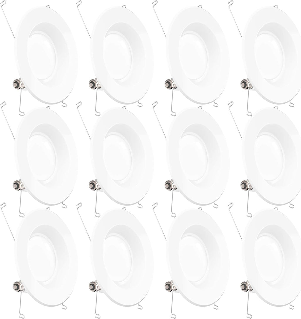 12 Pack 5/6 Inch LED Recessed Lighting Retrofit Conversion Kit E850
