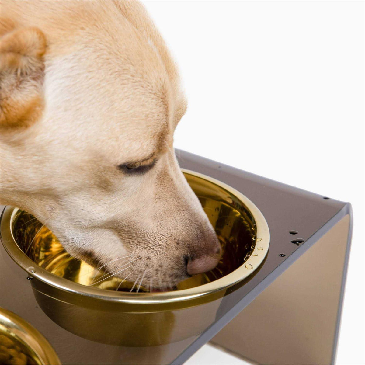 Acrylic Double Bowl Elevated Pet Feeder Y63492