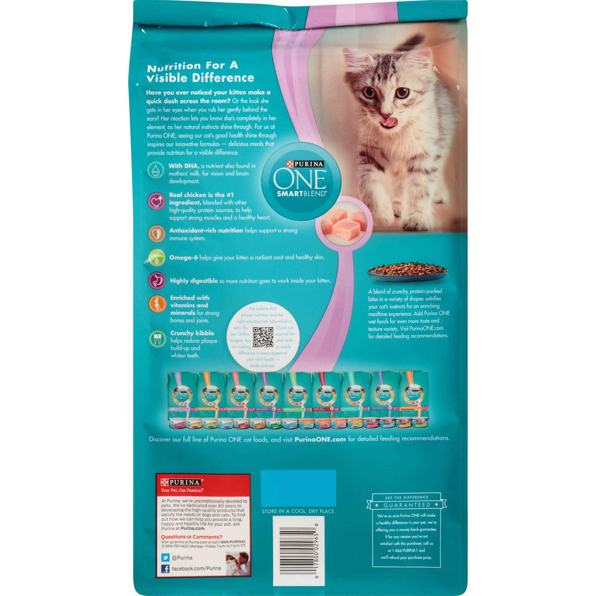 Kitten Dry Food I873202