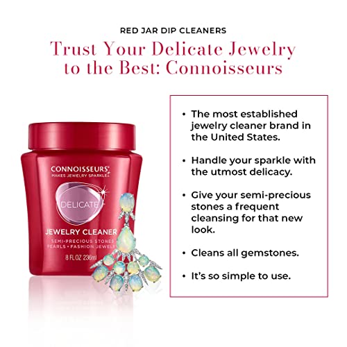 Value Size 9.6oz Jewelry Cleaner W9398
