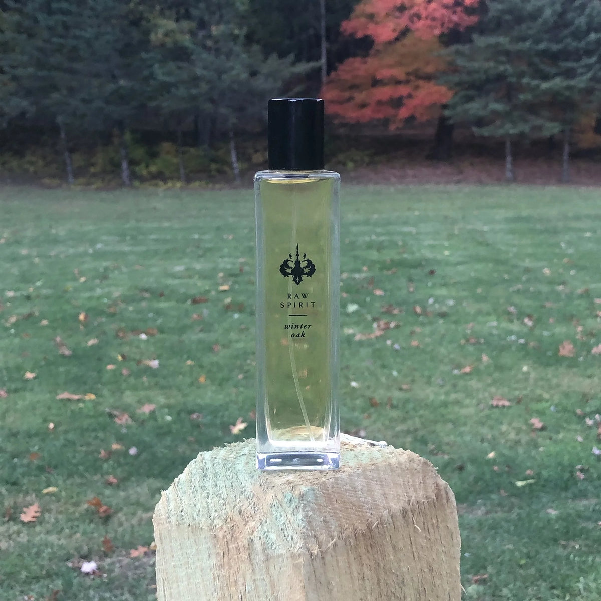 Eau de Parfum Spray 3.4 oz W752