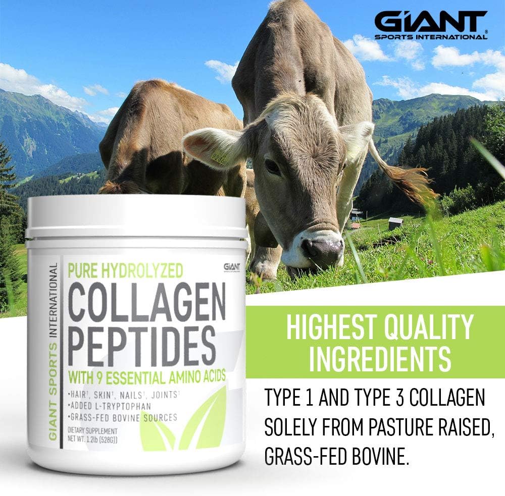 Collagen Peptide Powder Hydrolyzed Amino Acids 1 LB C837
