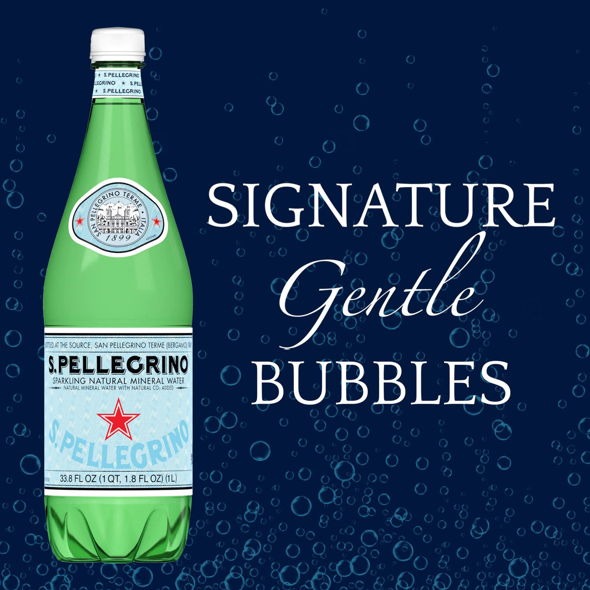 Sparkling Natural Mineral Water, 33.8 Fl Oz. Plastic Bottles (Pack Of 12) P21025