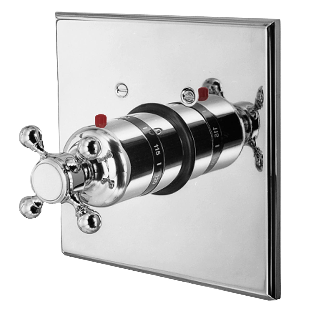 Polished Brass Thermostatic Trim Plate with Handle K8956