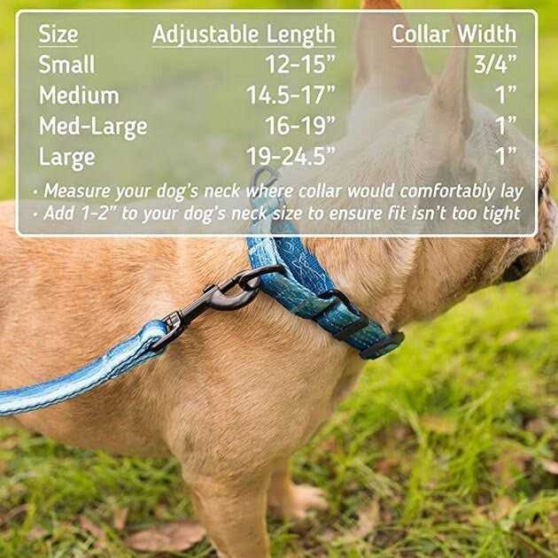 Patterned Fabric Martingale Dog Collar E27690