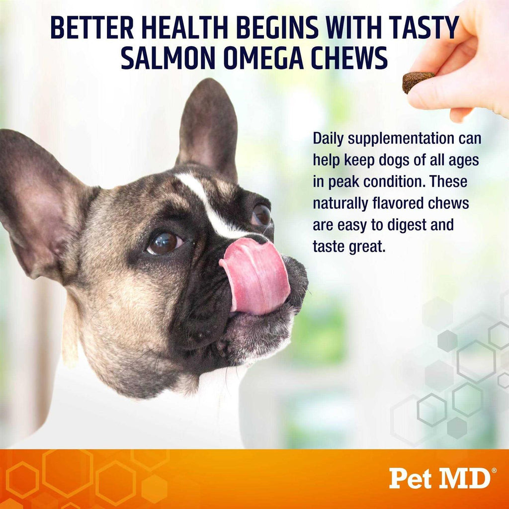 Salmon Omega Soft Chew Bites for Dogs 120ct L248