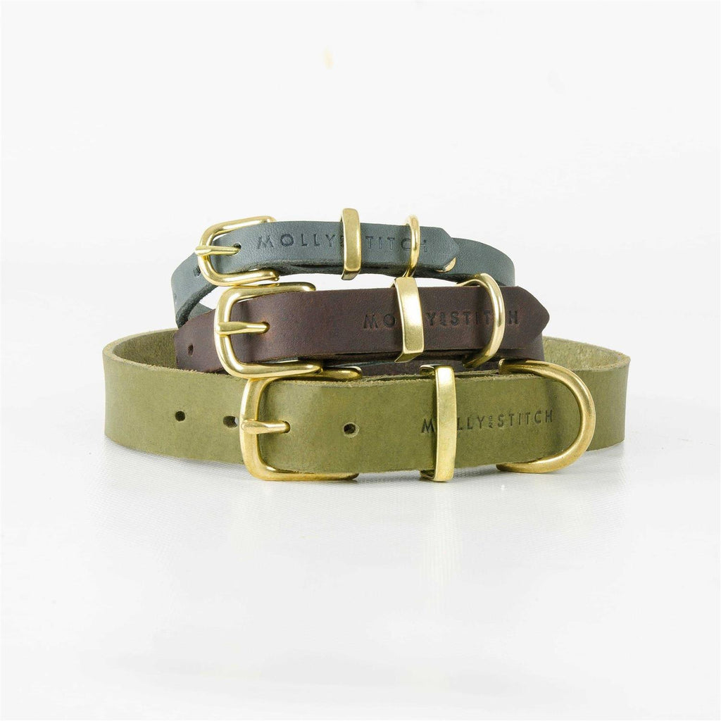 Leather Dog Collar W155678