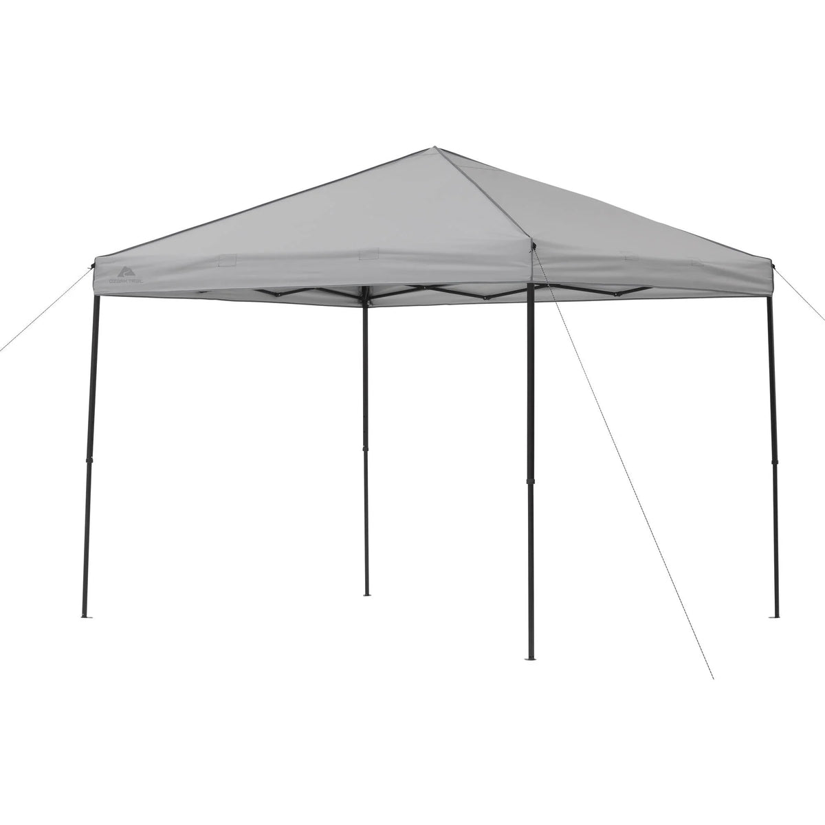 8' x 10' Gray Instant Outdoor Canopy D477