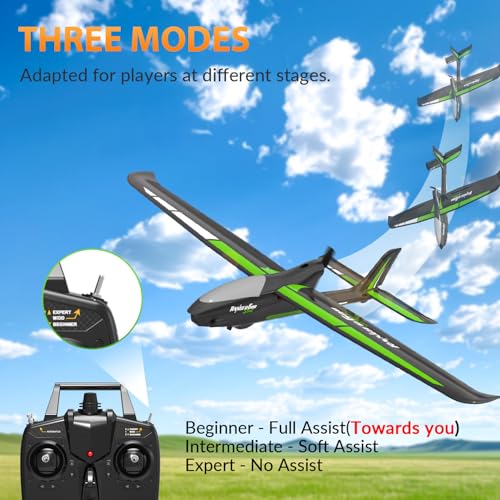 RC Plane, 4-Channel, Durable Foam Construction, 23.6*18.1 inches I5866