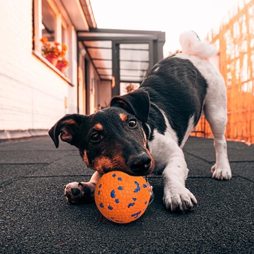 Interactive Tennis Fetch Ball Toy for Dogs V456065