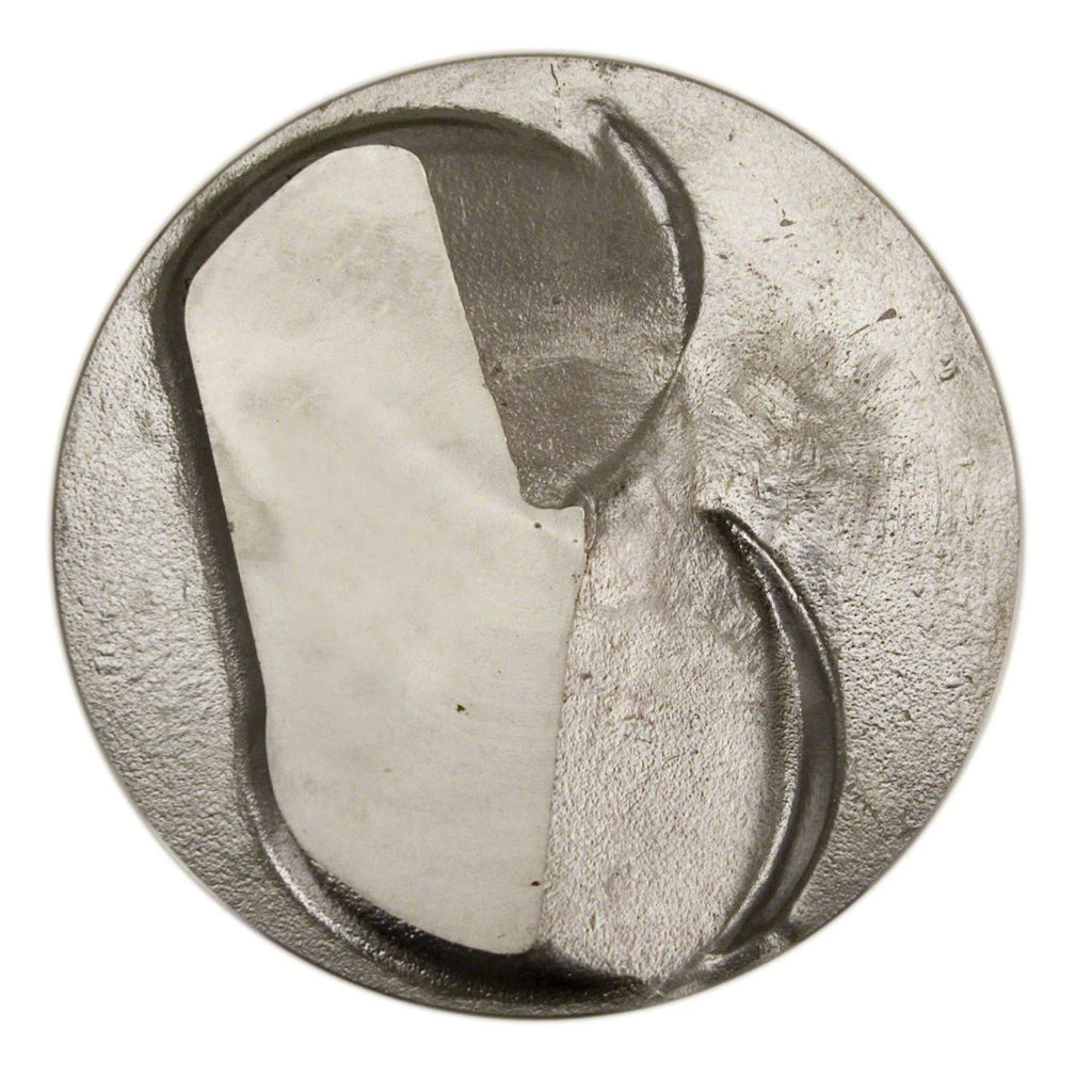 Cast Piston C5979